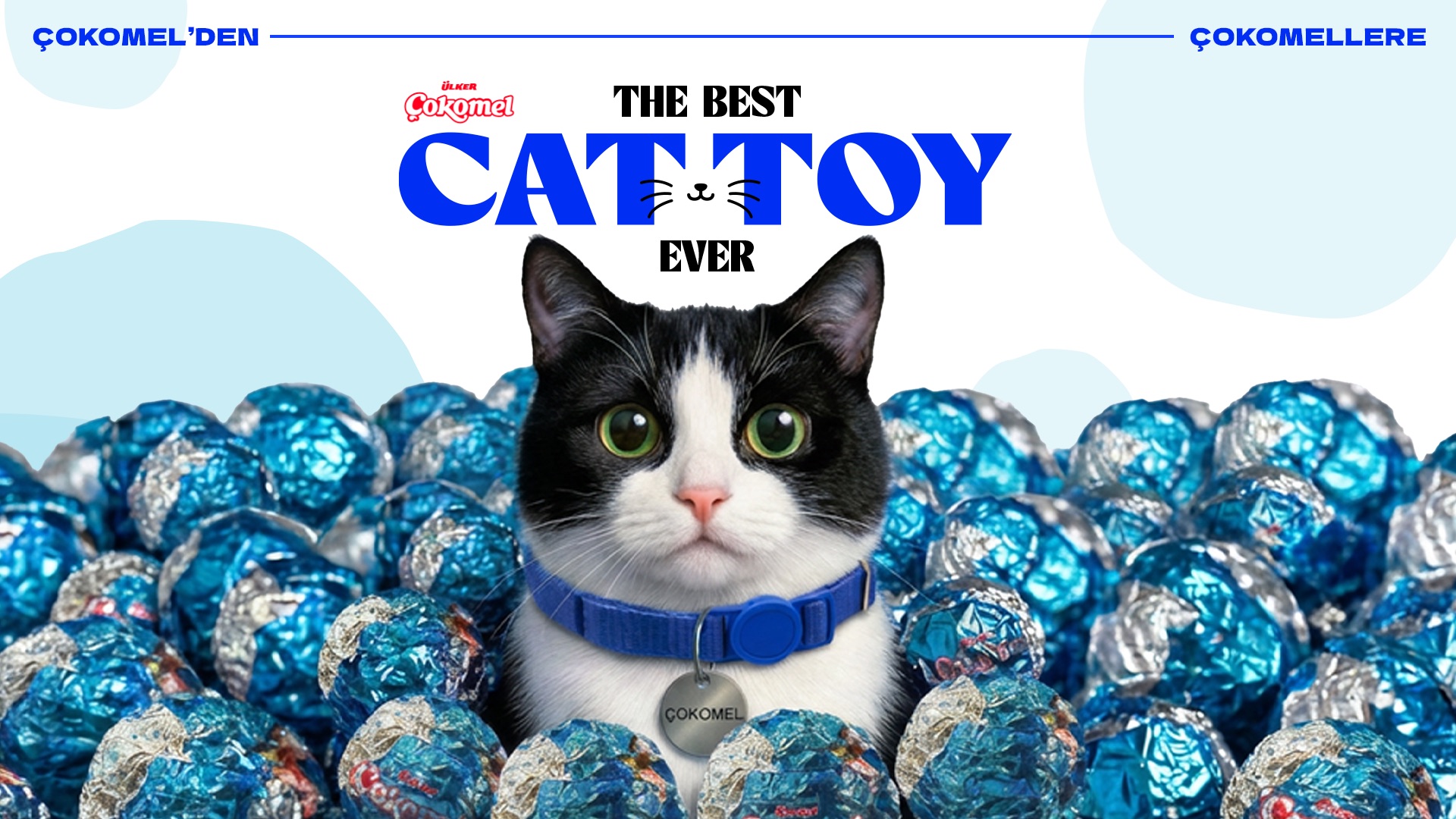 Çokomel campaign key visual: a black-and-white cat surrounded by blue foil wrappers beneath The Best Cat Toy Ever headline.